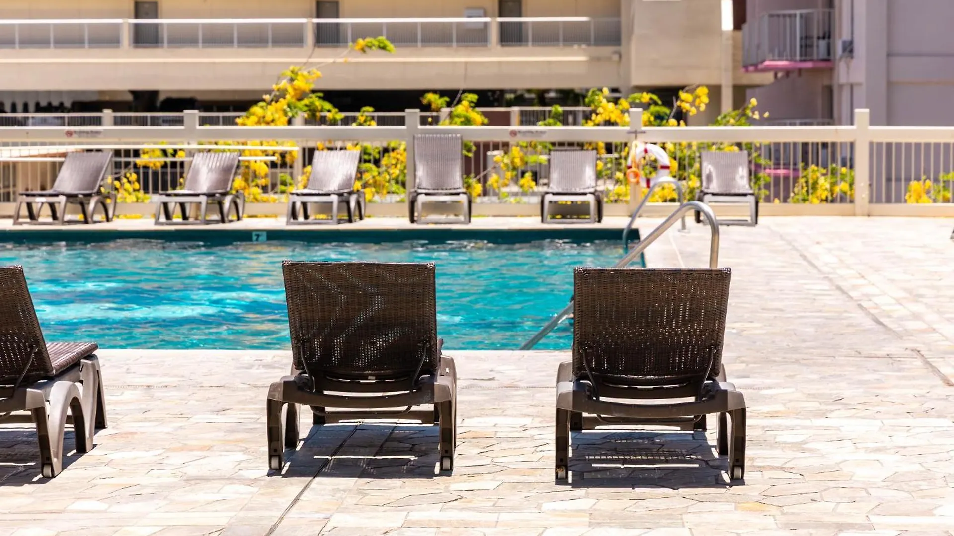 Freshly Renovated Studio With Iconic Diamond Head Views! Honolulu
